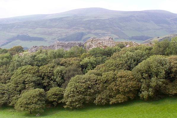 Picture, Photo, View of Castell y Bere, Gwynedd