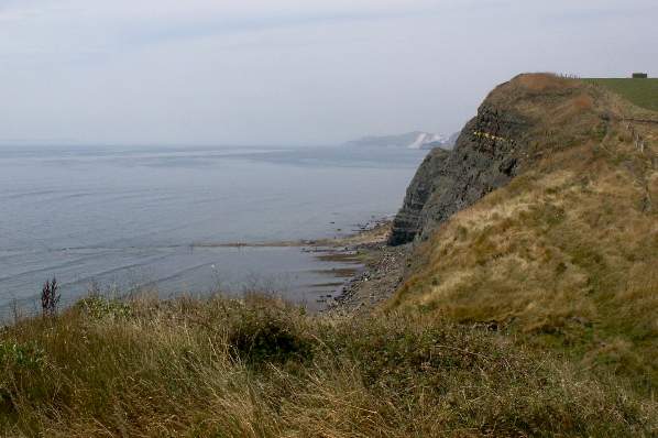 Picture, Photo, View of Kimmeridge Bay, Dorset