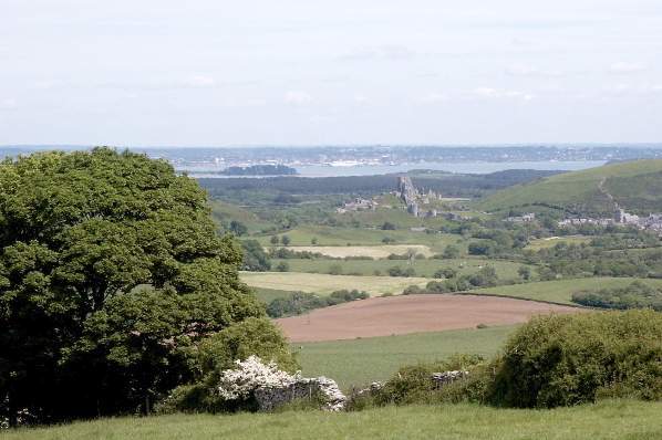 Picture, Photo, View of Kingston, Dorset