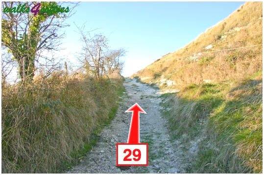 Walking direction photo: 29 for walk Valley and East Hill, Corfe Castle, Dorset.
