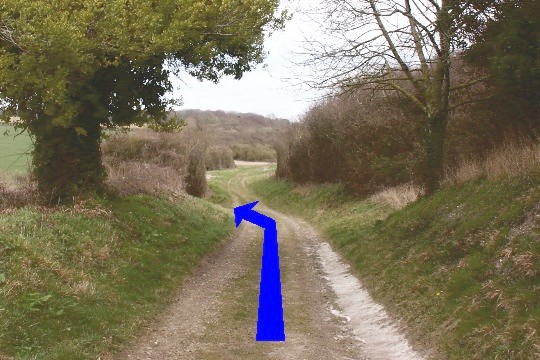 Walking direction photo: 3 for walk Ackling Dyke, Gussage All Saints, Dorset.