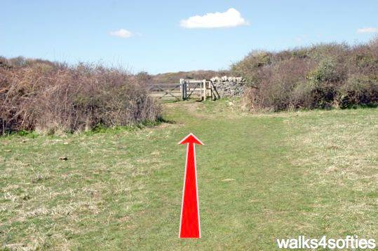 Walking direction photo: 9 for walk Dancing Ledge, Durlston, Dorset, Jurassic Coast.