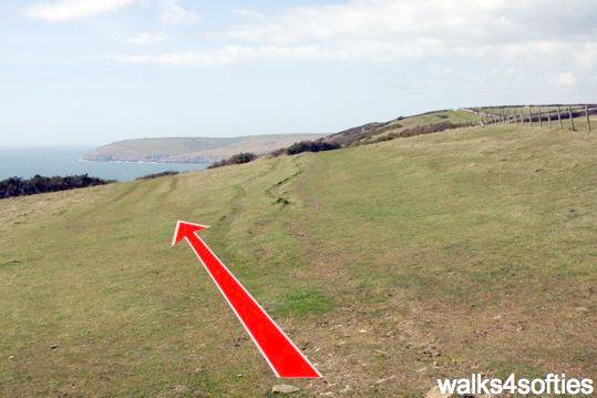Walking direction photo: 15 for walk Dancing Ledge, Durlston, Dorset, Jurassic Coast.