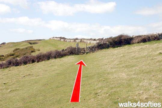 Walk direction photograph: 18 for walk Dancing Ledge, Durlston, Dorset, South West England.