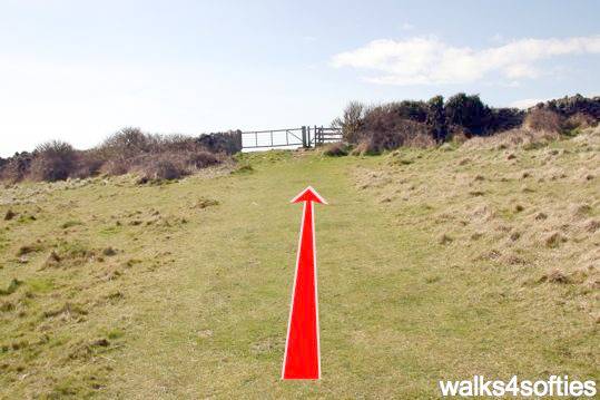 Walk direction photograph: 28 for walk Dancing Ledge, Durlston, Dorset, South West England.