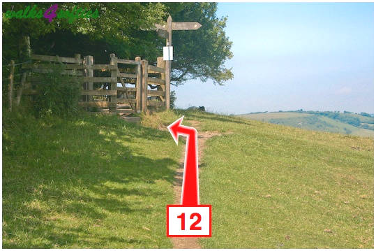 Walk direction photograph: 12 for walk St Gabriel's and Langdon Hill, Seatown, Dorset, South West England.