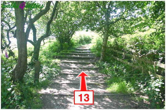 Walking direction photo: 13 for walk St Gabriel's and Langdon Hill, Seatown, Dorset, Jurassic Coast.