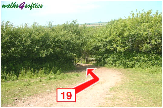 Walking direction photo: 19 for walk St Gabriel's and Langdon Hill, Seatown, Dorset, Jurassic Coast.