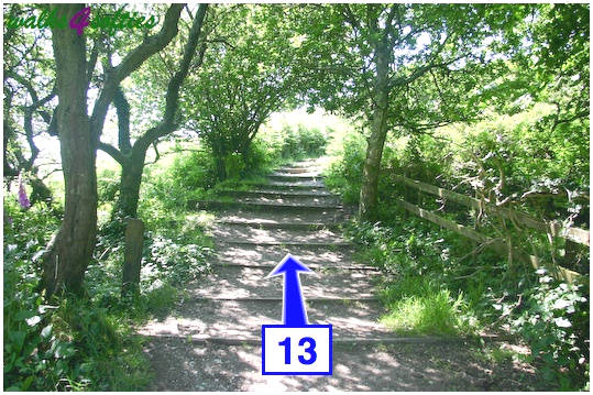 Walking direction photo: 13 for walk Golden Cap, Seatown, Dorset, Jurassic Coast.