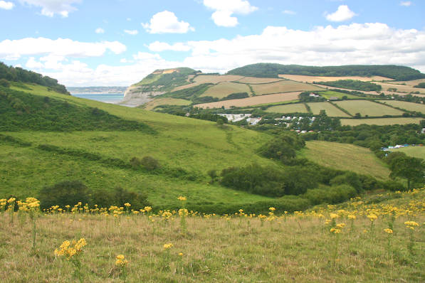 Picture, Photo, View of Seatown, Dorset