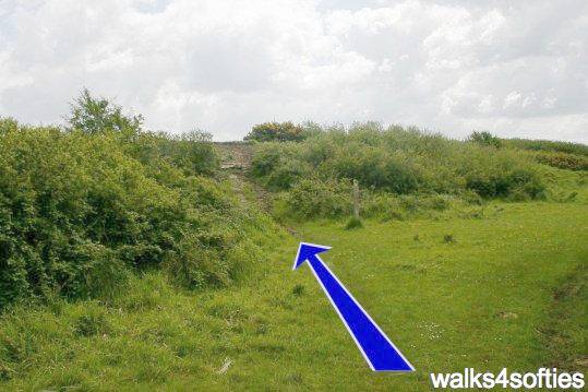 Walking direction photo: 7 for walk Limekiln Hill, West Bexington, Dorset, Jurassic Coast.