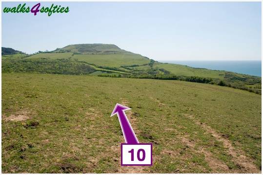 Walk direction photograph: 10 for walk St Gabriel's and Cain's Folly, Stonebarrow Hill, Dorset, South West England.