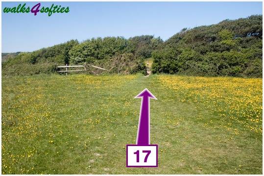 Walking direction photo: 17 for walk St Gabriel's and Cain's Folly, Stonebarrow Hill, Dorset, Jurassic Coast.