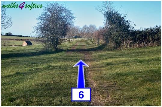 Walk direction photograph: 6 for walk Jack's Hedge Corner, Cranborne, Dorset, South West England.