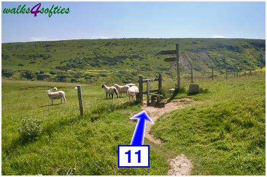 Walking direction photo: 11 for walk Houns-tout Cliff, Kingston(Houns-tout), Dorset, Jurassic Coast.