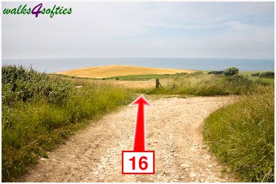 Walk direction photograph: 16 for walk Rope Lake Head, Kingston(Houns-tout), Dorset, South West England.