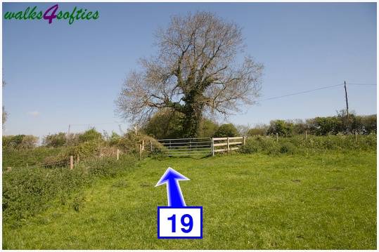 Walking direction photo: 19 for walk Tarrant Crawford, The Anchor @ Shapwick, Dorset.