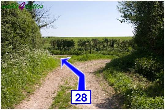 Walk direction photograph: 28 for walk Tarrant Crawford, The Anchor @ Shapwick, Dorset, South West England.