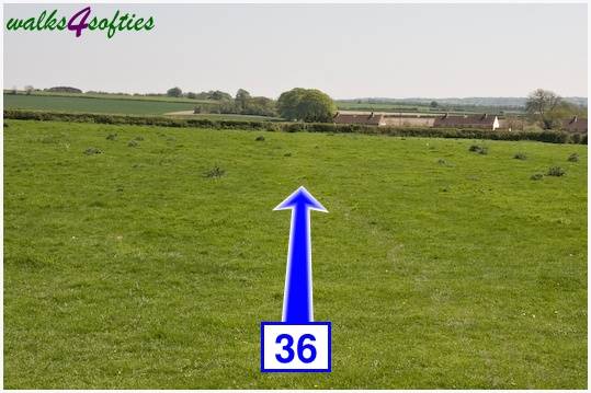 Walk direction photograph: 36 for walk Tarrant Crawford, The Anchor @ Shapwick, Dorset, South West England.