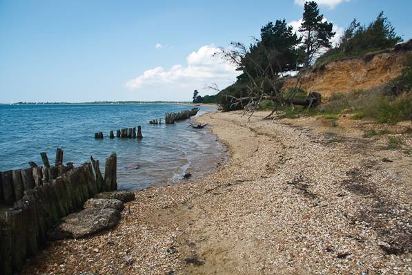 Picture, Photo, View of Lepe Country Park, Hampshire