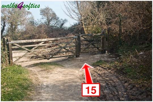 Walking direction photo: 15 for walk Old Harry and Ballard Down, Studland, Dorset.
