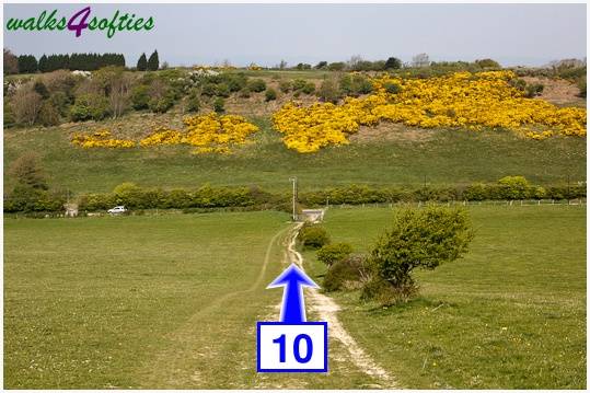 Walk direction photograph: 10 for walk The Obelisk and Agglestone Rock, Studland, Dorset, South West England.