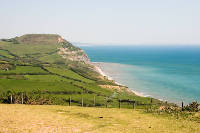 View from Stonebarrow Hill